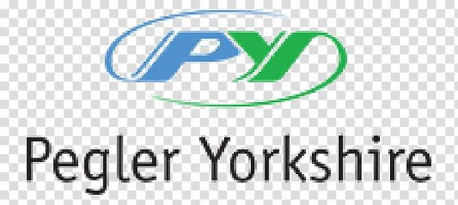 Company Logo 9